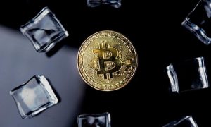 Halving Bitcoina 2024: Co oznacza dla inwestorów i rynku kryptowalut?